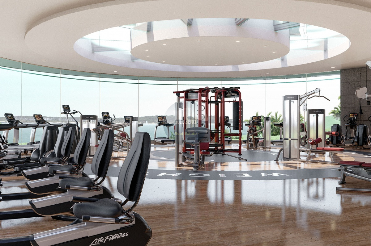 GIMNASIO