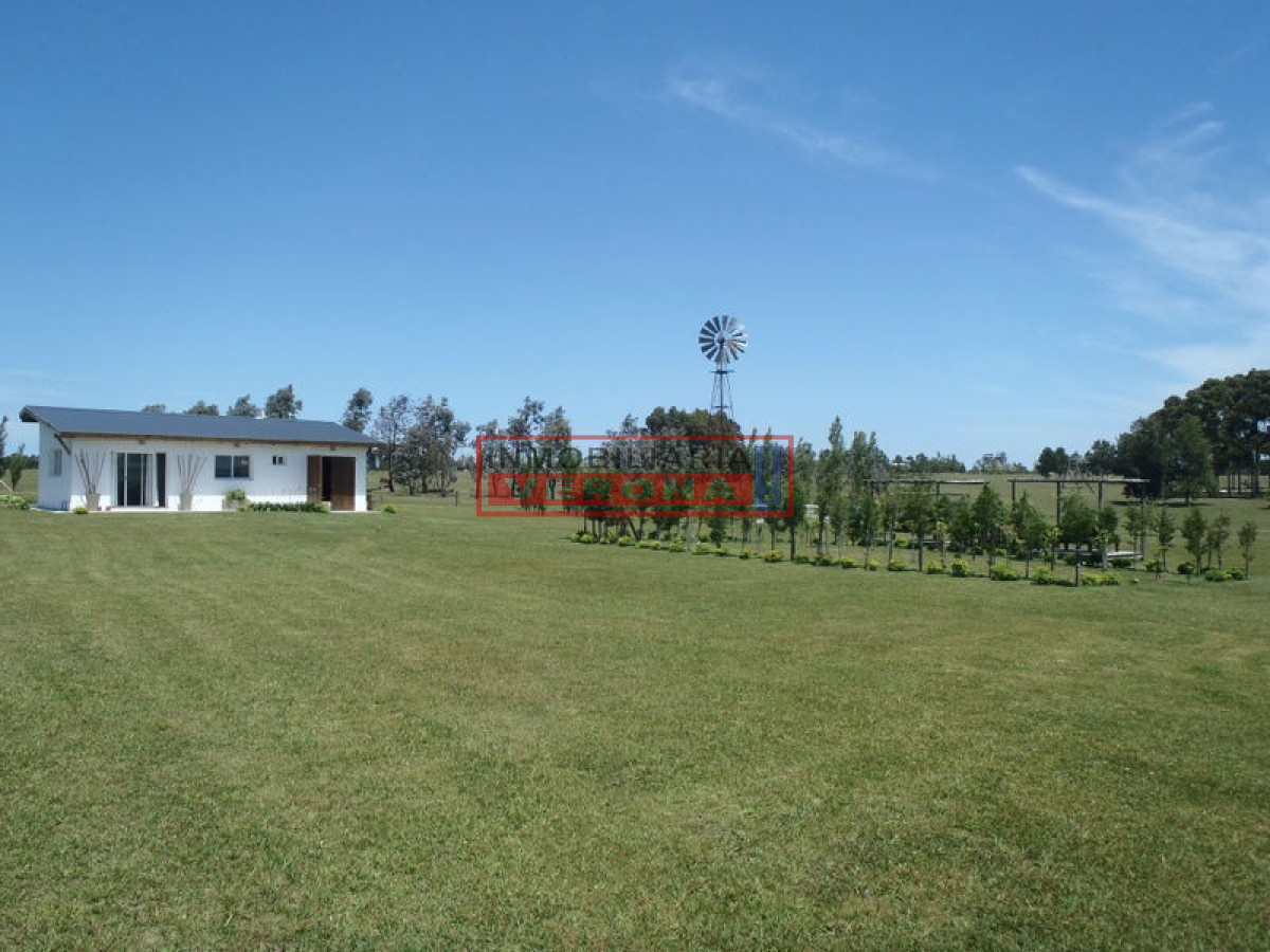 6746 75 - GoPunta - Portal Inmobiliario de Punta del Este - Maldonado