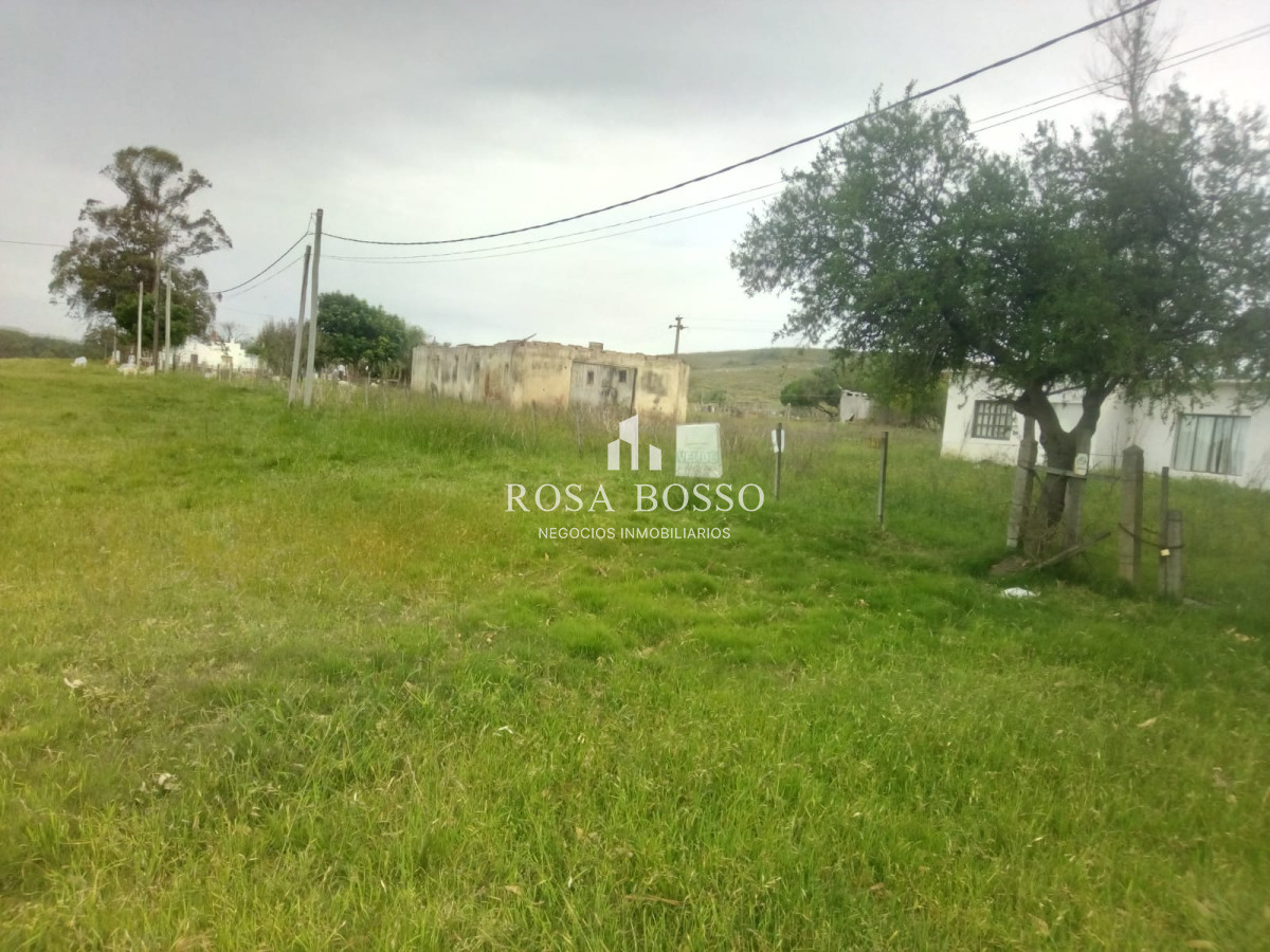 Chacra a 15 minutos Punta Ballena. - GoPunta - Portal Inmobiliario de Punta del Este - Maldonado