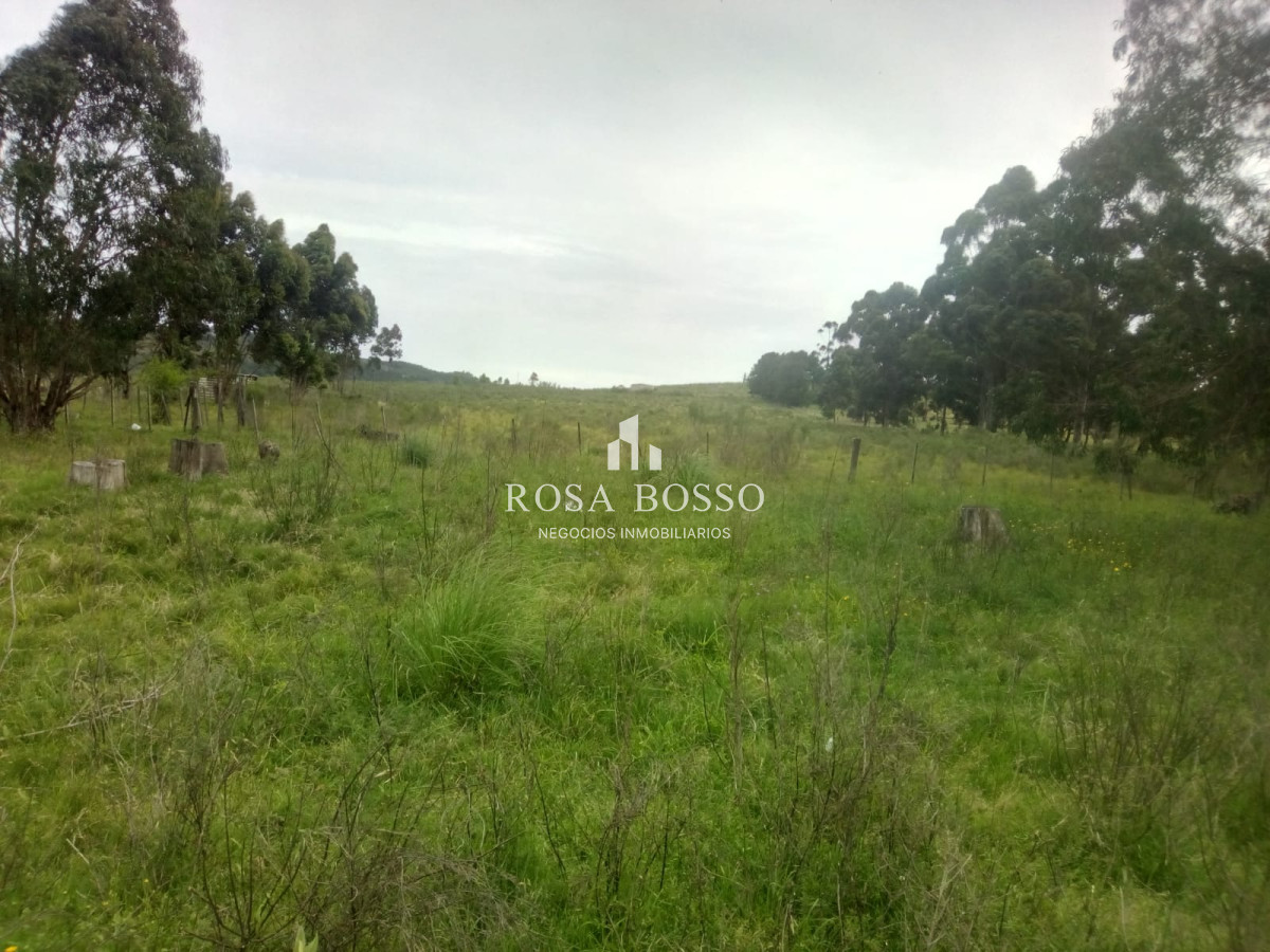 Chacra a 15 minutos Punta Ballena. - GoPunta - Portal Inmobiliario de Punta del Este - Maldonado
