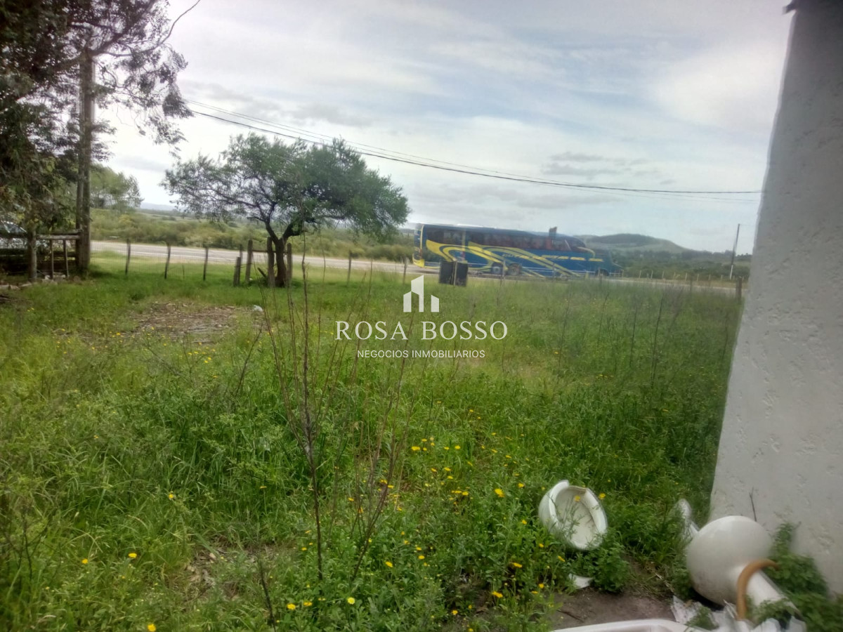 Chacra a 15 minutos Punta Ballena. - GoPunta - Portal Inmobiliario de Punta del Este - Maldonado