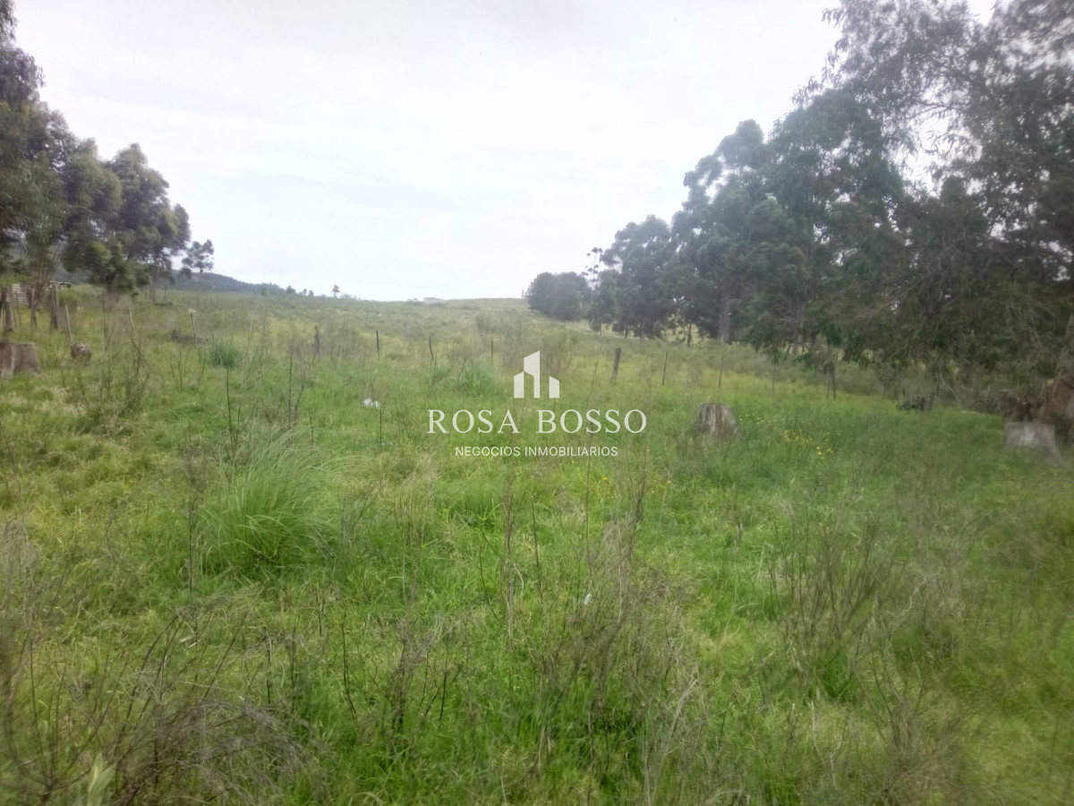 Chacra a 15 minutos Punta Ballena. - GoPunta - Portal Inmobiliario de Punta del Este - Maldonado