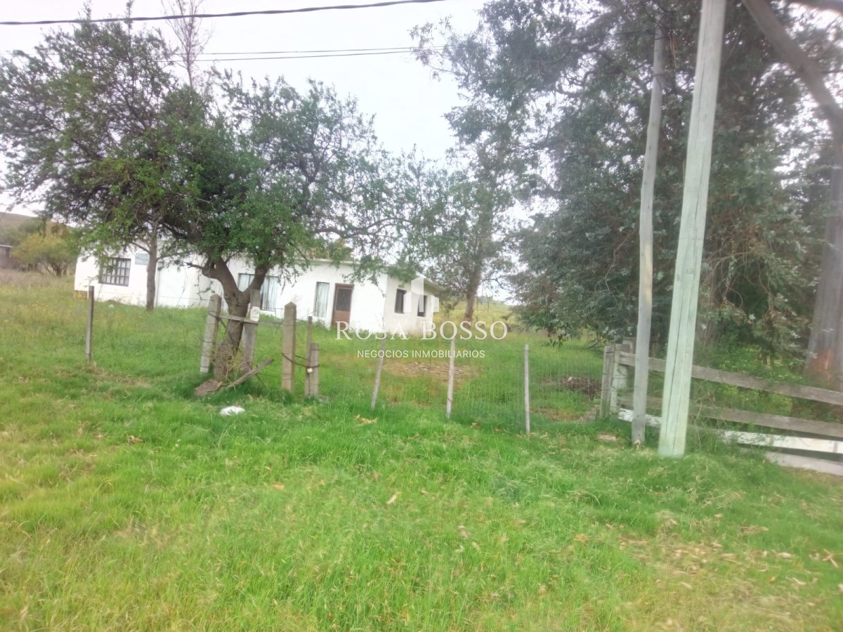 Chacra a 15 minutos Punta Ballena. - GoPunta - Portal Inmobiliario de Punta del Este - Maldonado