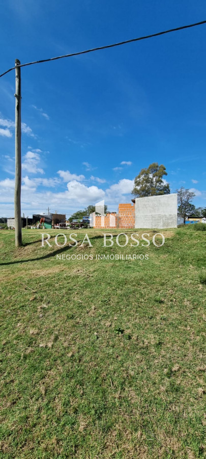 Los Aromos - GoPunta - Portal Inmobiliario de Punta del Este - Maldonado