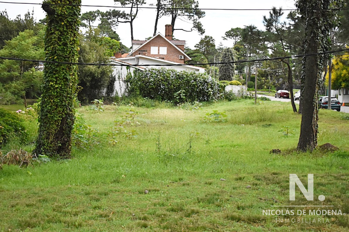 Cantegril - GoPunta - Portal Inmobiliario de Punta del Este - Maldonado