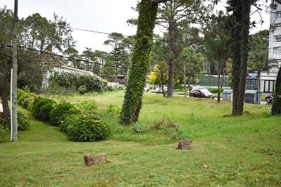TERRENO en Roosevelt.