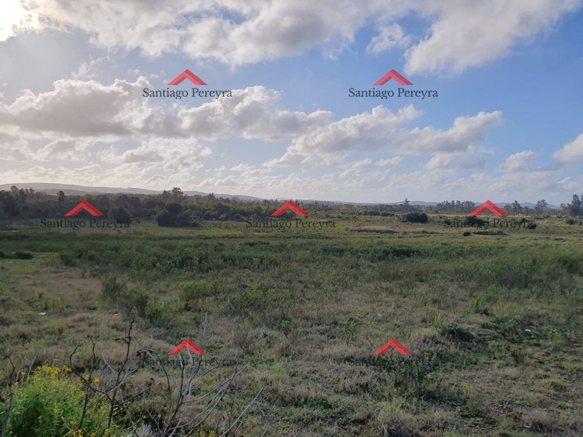 San Carlos - GoPunta - Portal Inmobiliario de Punta del Este - Maldonado