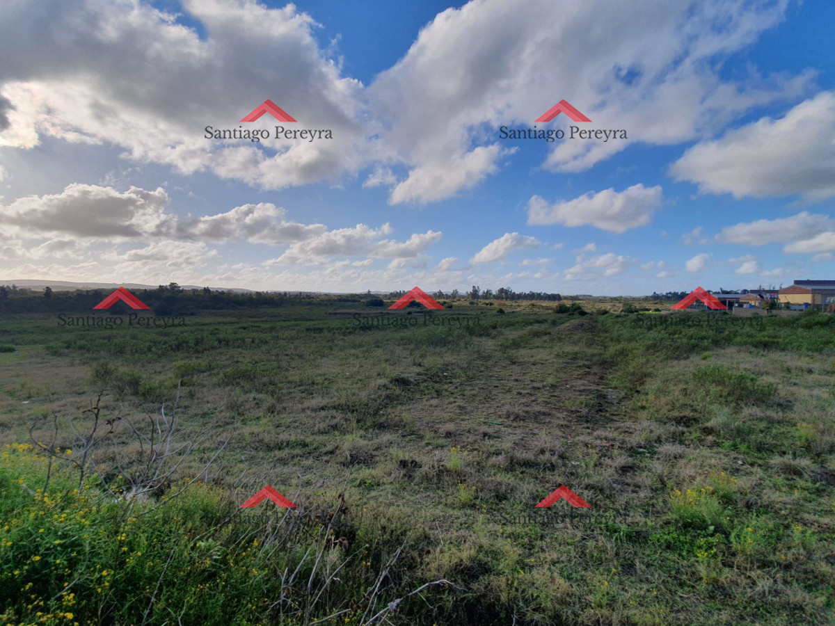 San Carlos - GoPunta - Portal Inmobiliario de Punta del Este - Maldonado