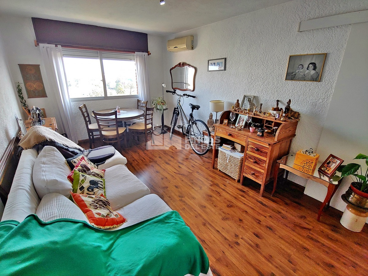 Centro Maldonado - GoPunta - Portal Inmobiliario de Punta del Este - Maldonado