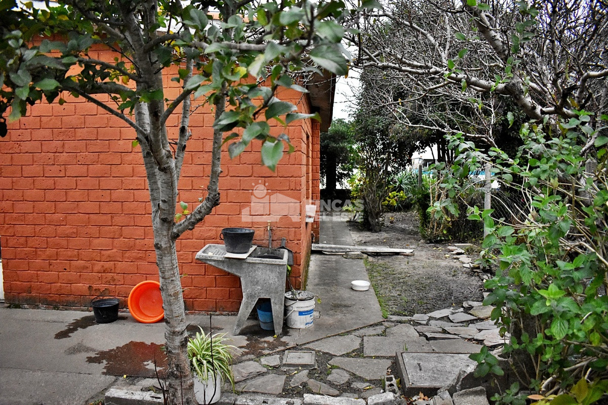 Centro Maldonado - GoPunta - Portal Inmobiliario de Punta del Este - Maldonado