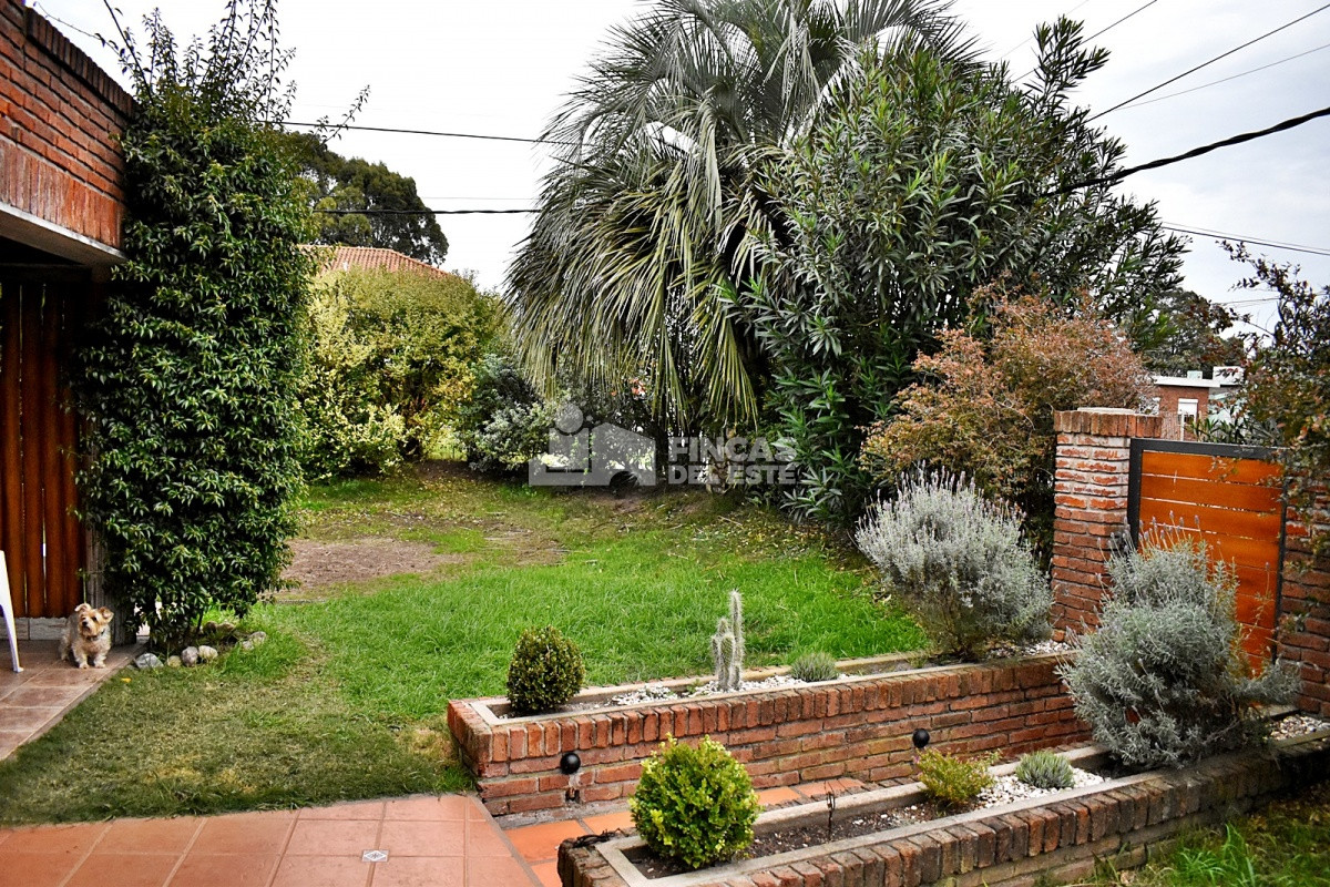 Maldonado - GoPunta - Portal Inmobiliario de Punta del Este - Maldonado