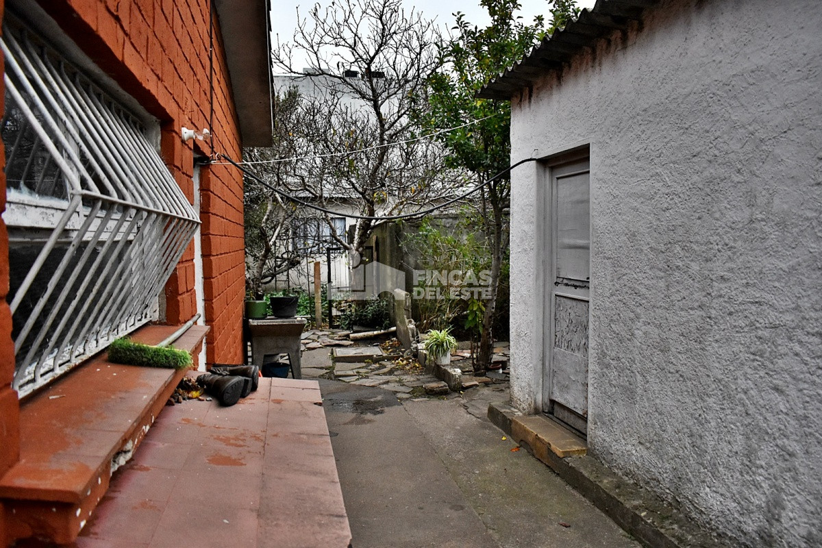 Centro Maldonado - GoPunta - Portal Inmobiliario de Punta del Este - Maldonado