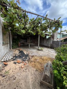 inversión en San Carlos!