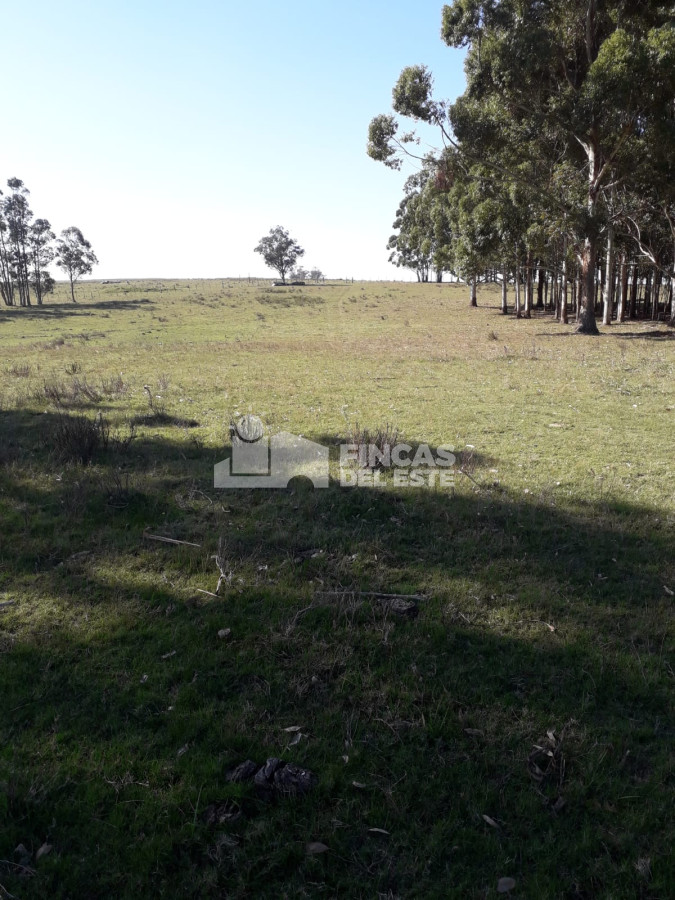 Ruta 9 - GoPunta - Portal Inmobiliario de Punta del Este - Maldonado