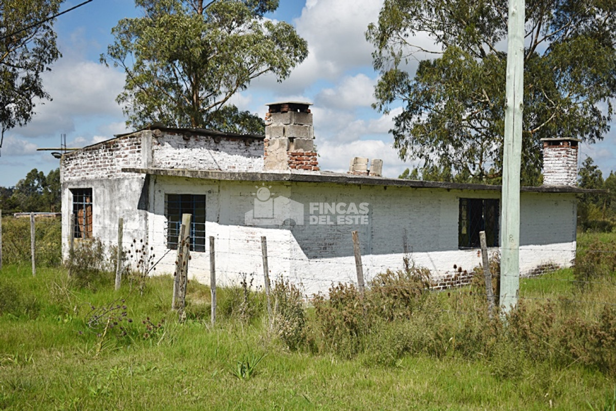 San Carlos - GoPunta - Portal Inmobiliario de Punta del Este - Maldonado
