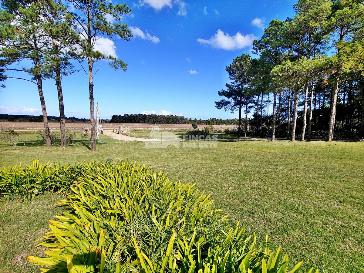 Laguna del Diario - GoPunta - Portal Inmobiliario de Punta del Este - Maldonado