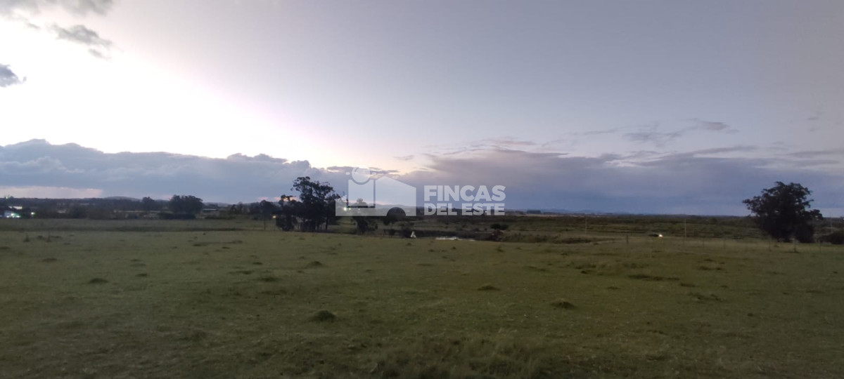 Chacra de 5 Hectáreas sobre Ruta 39 - GoPunta - Portal Inmobiliario de Punta del Este - Maldonado