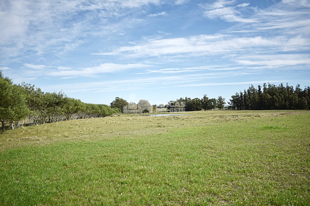 José Ignacio - GoPunta - Portal Inmobiliario de Punta del Este - Maldonado
