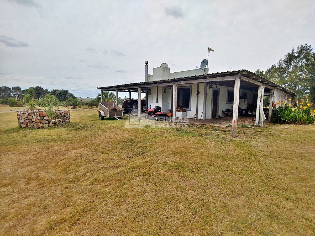 Maldonado - GoPunta - Portal Inmobiliario de Punta del Este - Maldonado