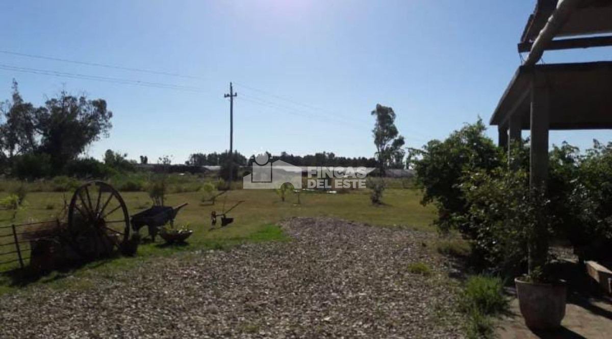 Hermosa Chacra en San Carlos - GoPunta - Portal Inmobiliario de Punta del Este - Maldonado