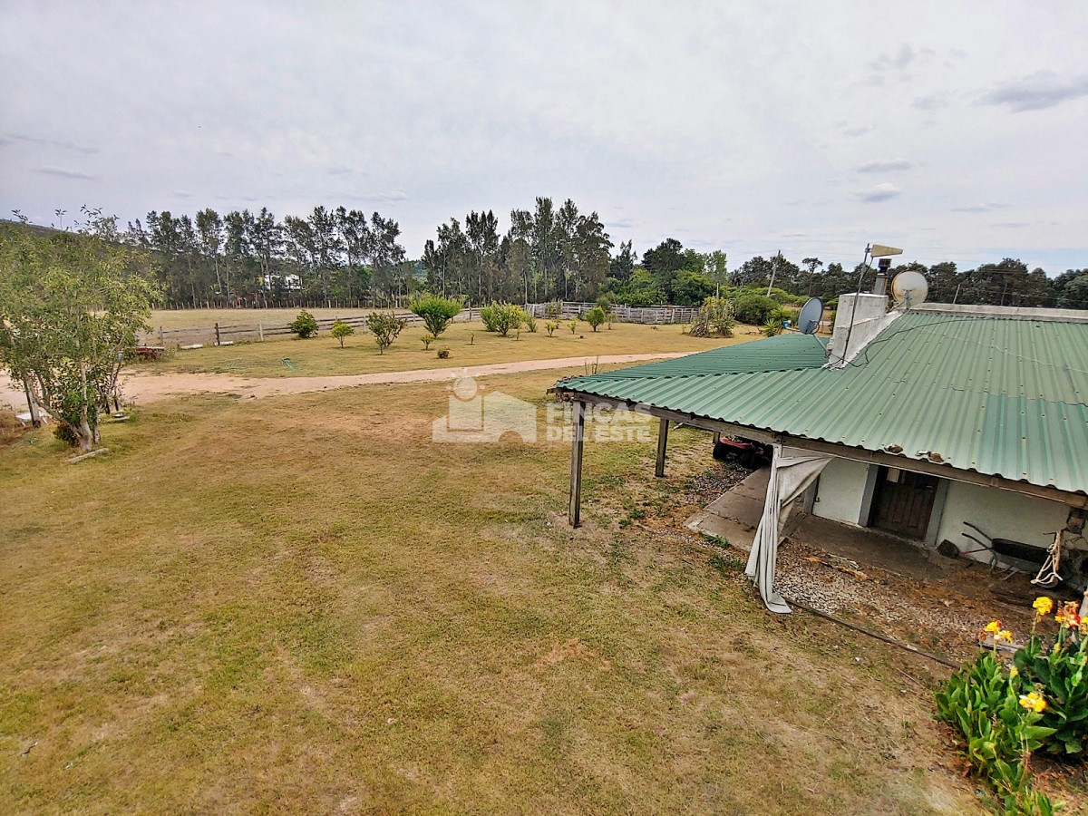 Maldonado - GoPunta - Portal Inmobiliario de Punta del Este - Maldonado