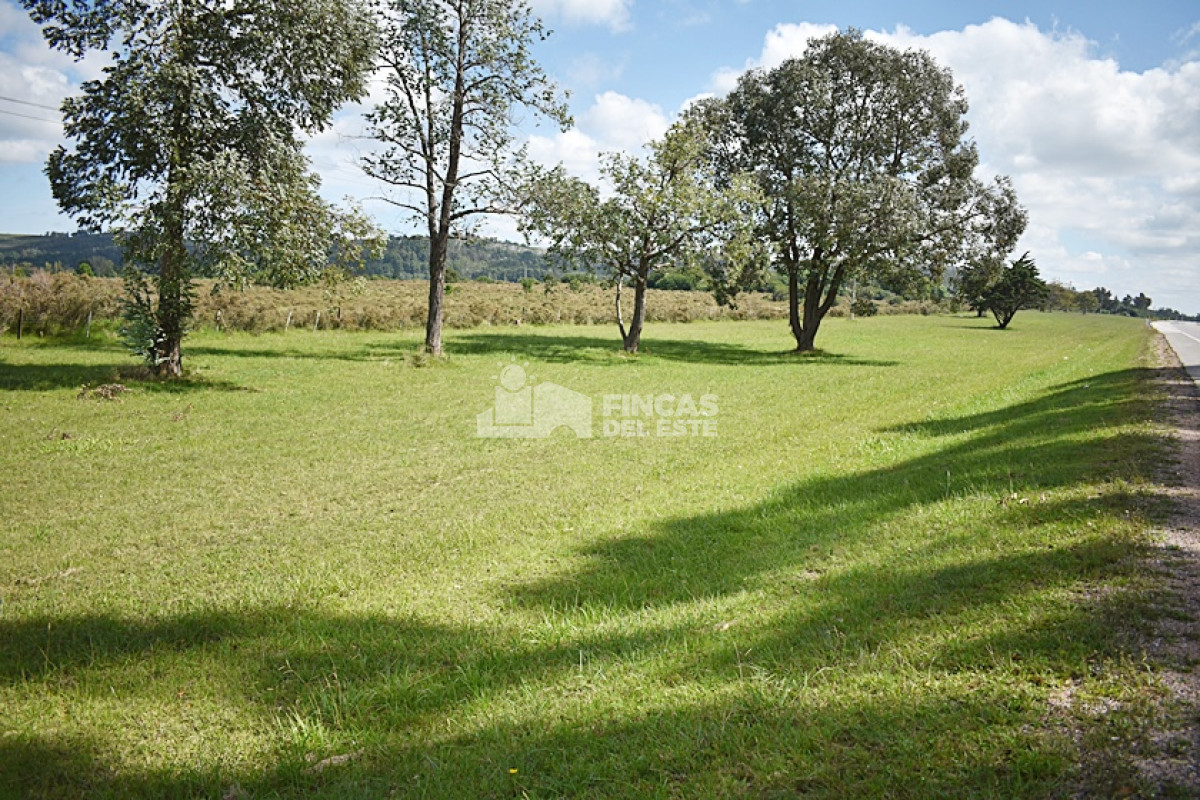 San Carlos - GoPunta - Portal Inmobiliario de Punta del Este - Maldonado
