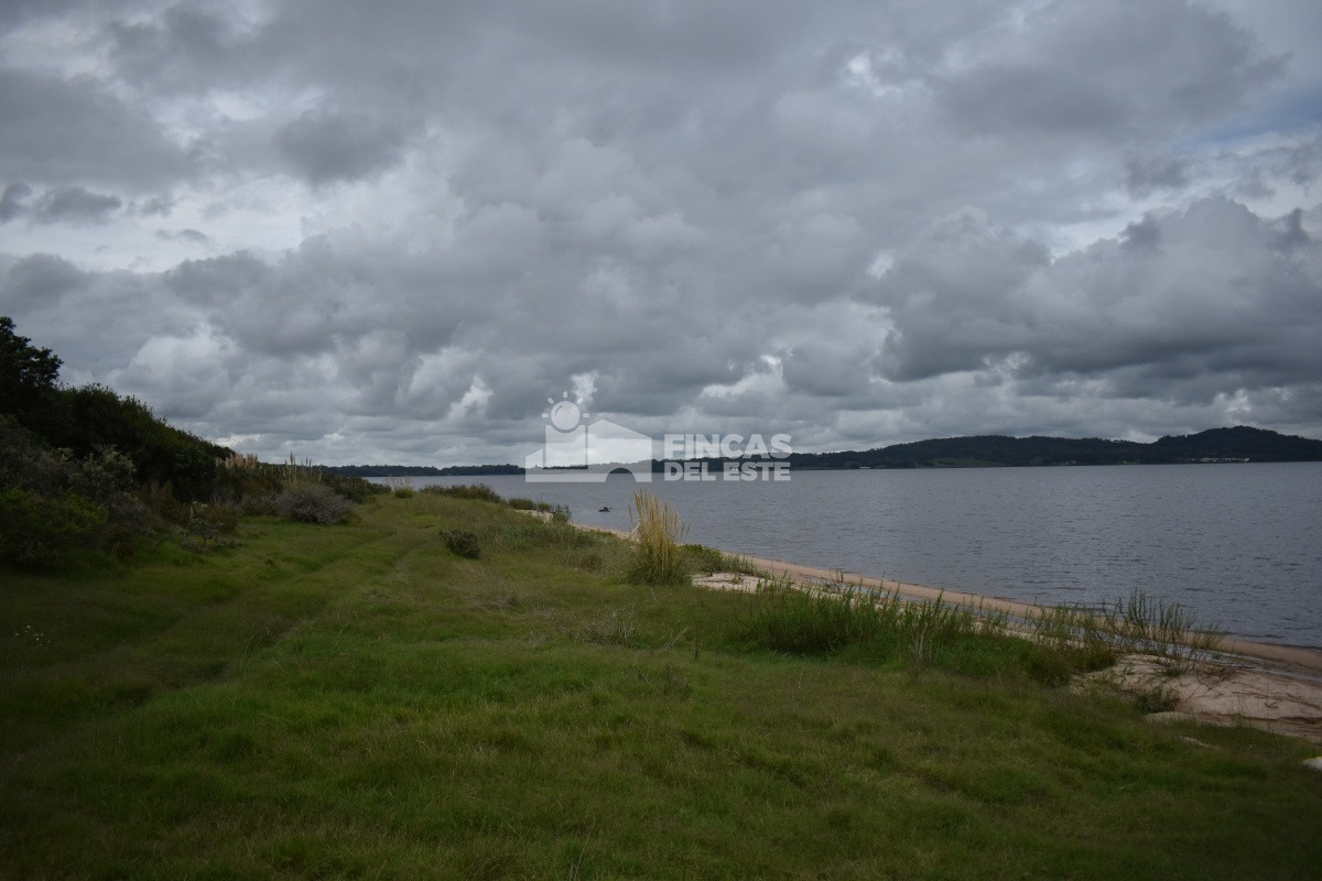 Maldonado - GoPunta - Portal Inmobiliario de Punta del Este - Maldonado