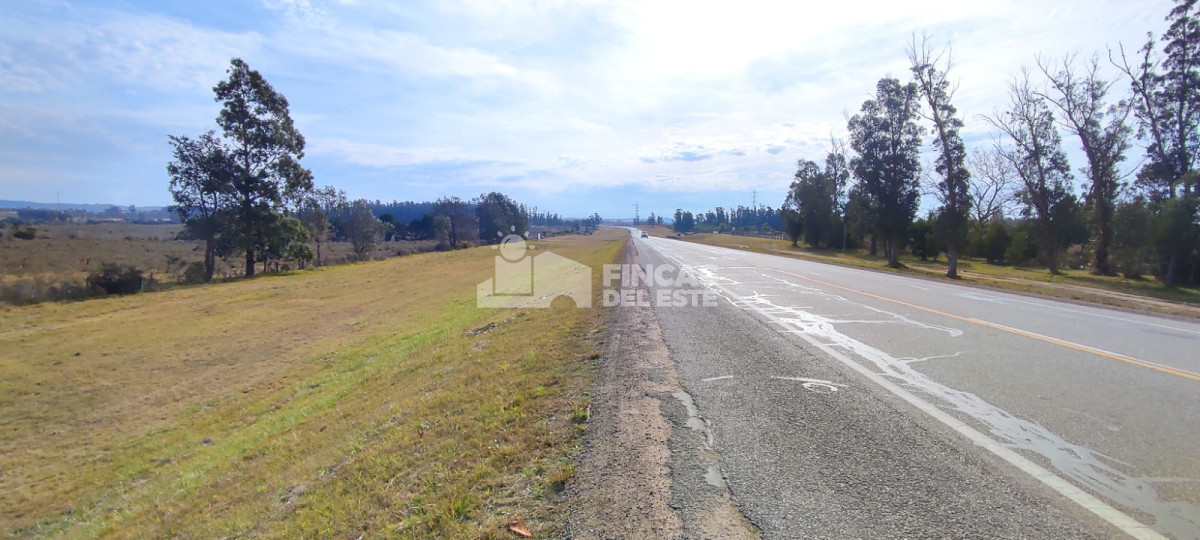 San Carlos - GoPunta - Portal Inmobiliario de Punta del Este - Maldonado