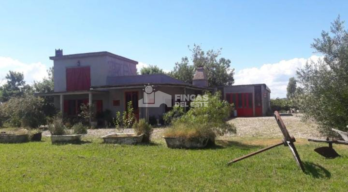 Hermosa Chacra en San Carlos - GoPunta - Portal Inmobiliario de Punta del Este - Maldonado