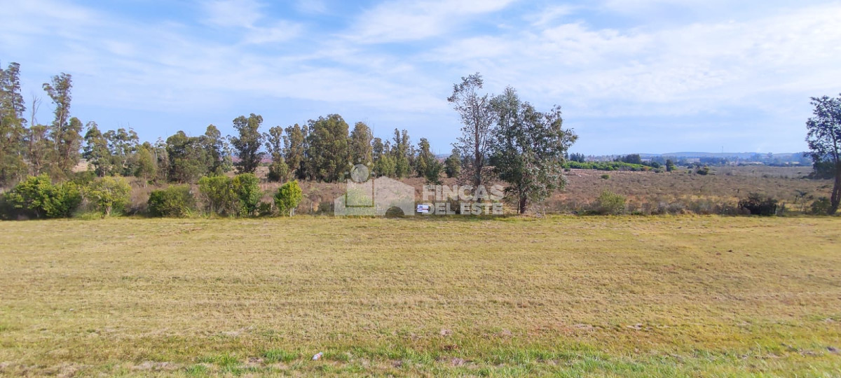 San Carlos - GoPunta - Portal Inmobiliario de Punta del Este - Maldonado