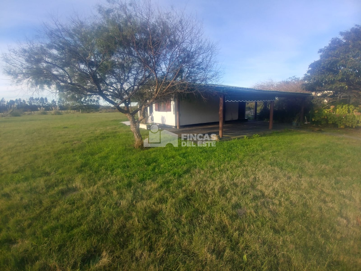 Punta Negra - GoPunta - Portal Inmobiliario de Punta del Este - Maldonado