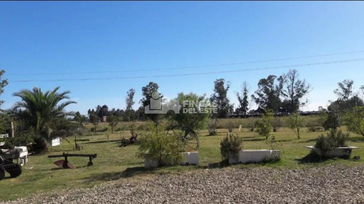 Hermosa Chacra en San Carlos - GoPunta - Portal Inmobiliario de Punta del Este - Maldonado
