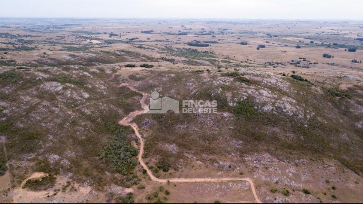 Maldonado - GoPunta - Portal Inmobiliario de Punta del Este - Maldonado