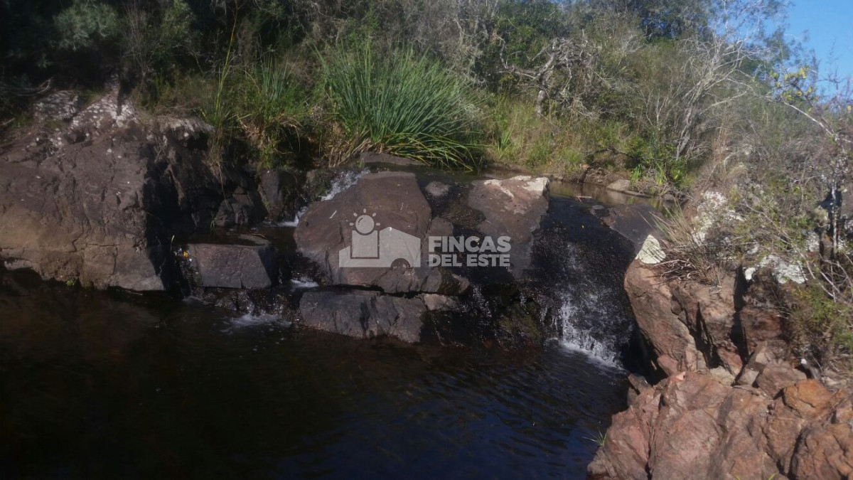 Maldonado - GoPunta - Portal Inmobiliario de Punta del Este - Maldonado