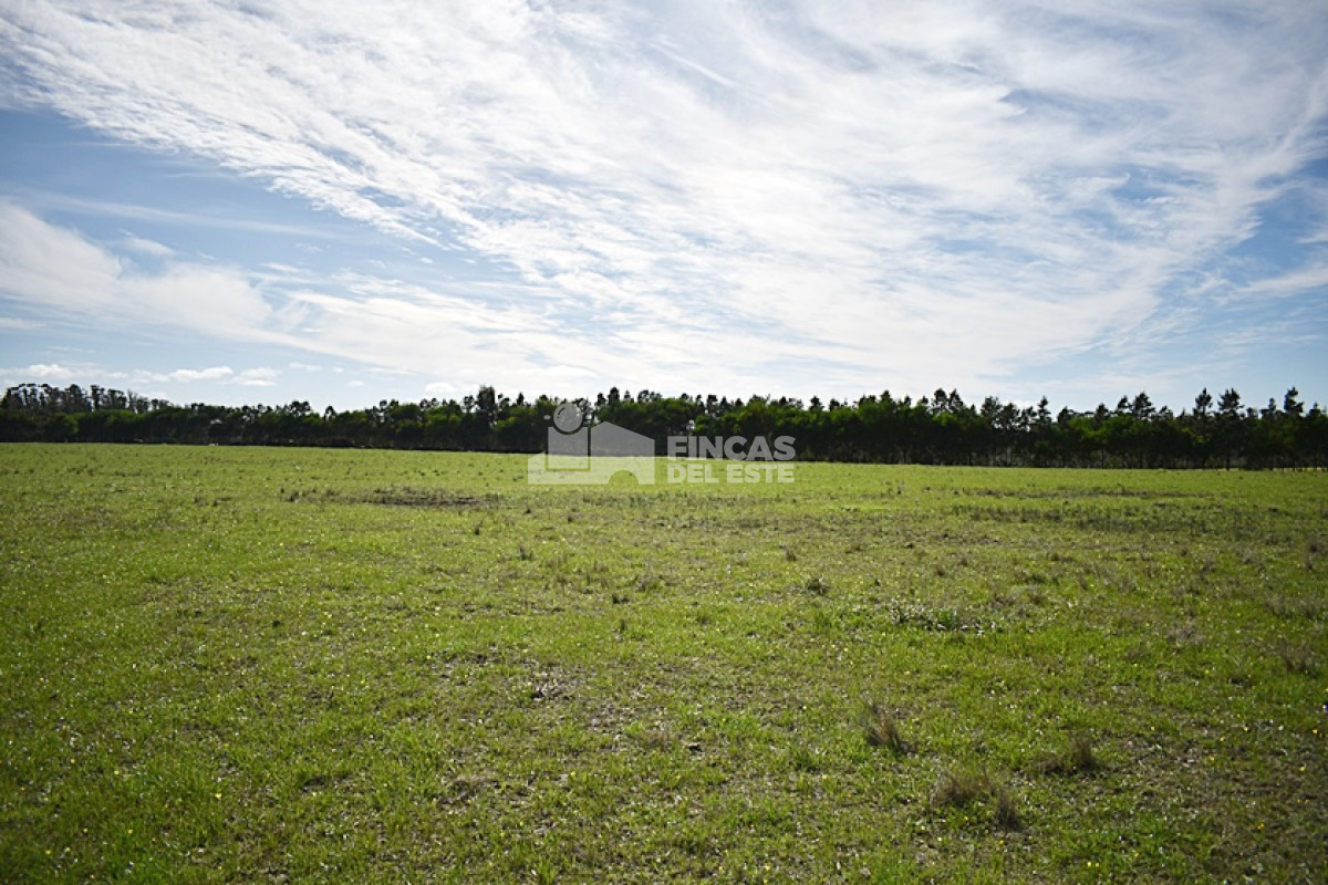 José Ignacio - GoPunta - Portal Inmobiliario de Punta del Este - Maldonado