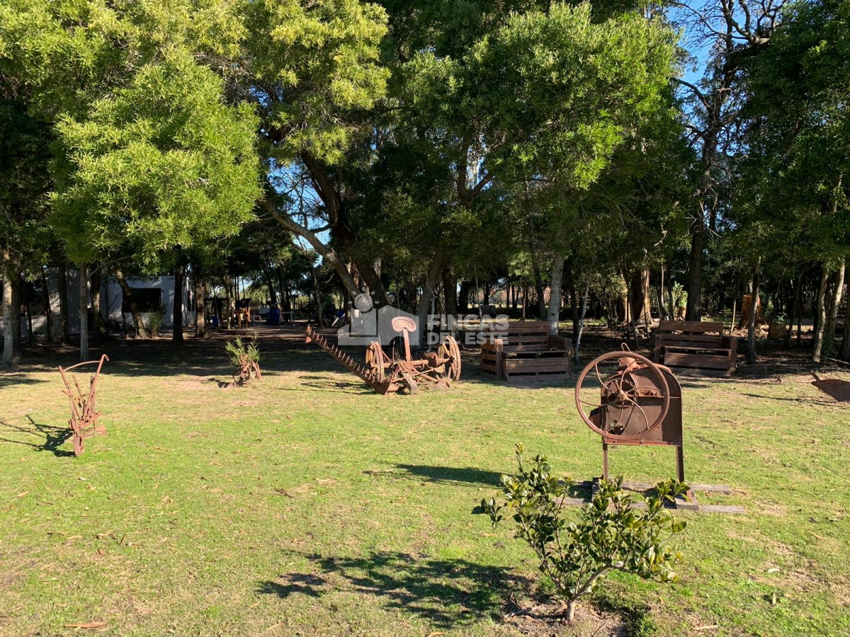 Chacra con casa - GoPunta - Portal Inmobiliario de Punta del Este - Maldonado