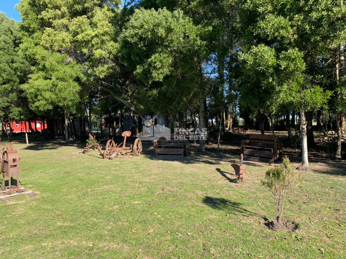 Chacra con casa - GoPunta - Portal Inmobiliario de Punta del Este - Maldonado