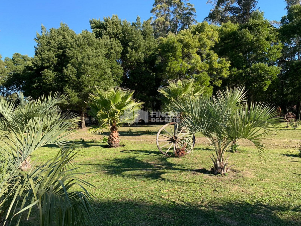 Chacra con casa - GoPunta - Portal Inmobiliario de Punta del Este - Maldonado