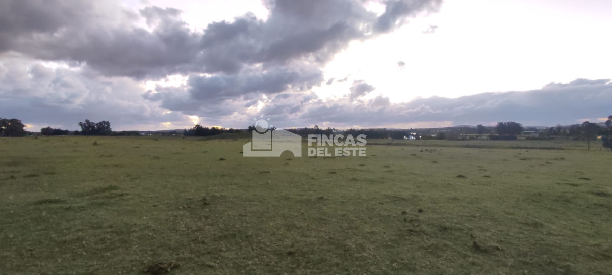 Chacra de 5 Hectáreas sobre Ruta 39 - GoPunta - Portal Inmobiliario de Punta del Este - Maldonado