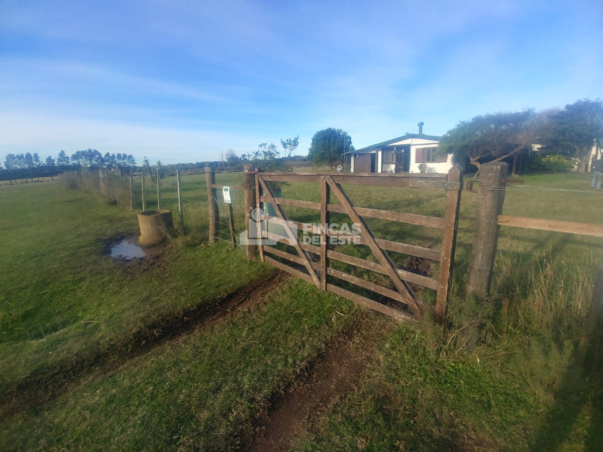 Punta Negra - GoPunta - Portal Inmobiliario de Punta del Este - Maldonado