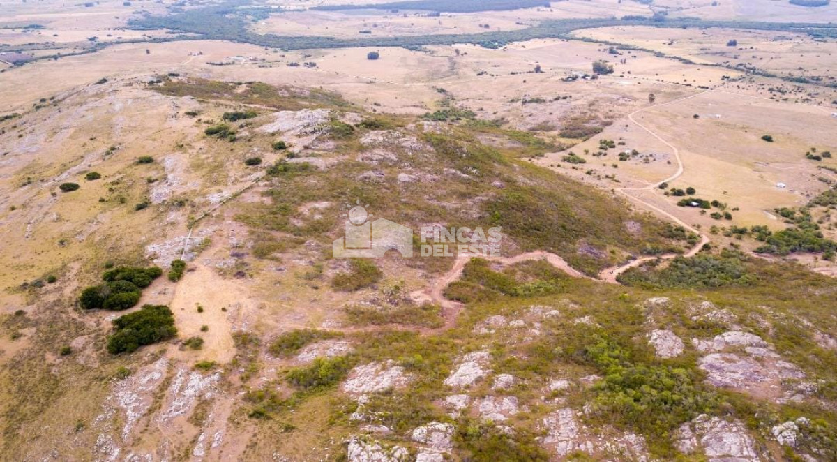 Maldonado - GoPunta - Portal Inmobiliario de Punta del Este - Maldonado