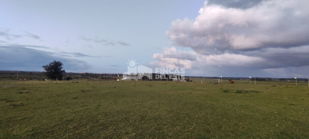 Chacra de 5 Hectáreas sobre Ruta 39 - GoPunta - Portal Inmobiliario de Punta del Este - Maldonado