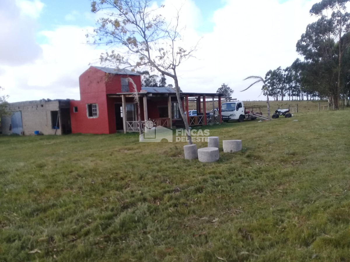 Ruta 9 - GoPunta - Portal Inmobiliario de Punta del Este - Maldonado