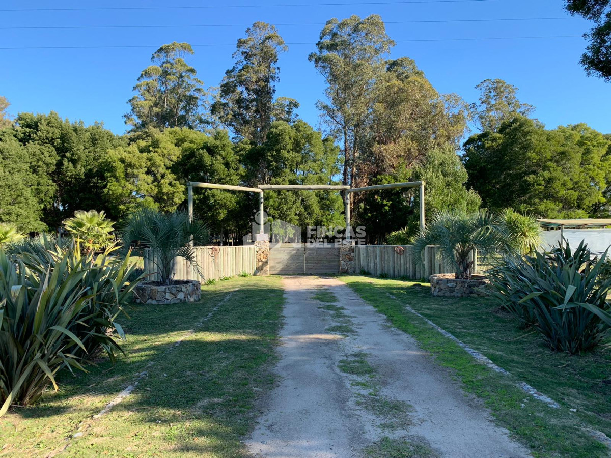 Chacra con casa - GoPunta - Portal Inmobiliario de Punta del Este - Maldonado