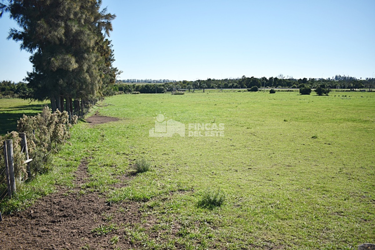 San Carlos - GoPunta - Portal Inmobiliario de Punta del Este - Maldonado
