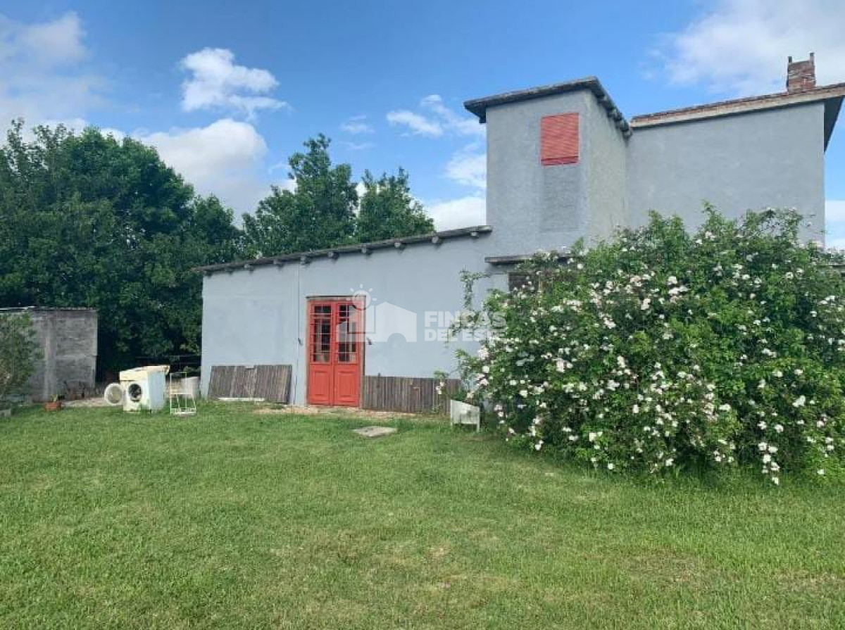 Hermosa Chacra en San Carlos - GoPunta - Portal Inmobiliario de Punta del Este - Maldonado