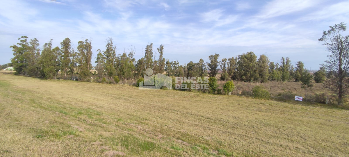 San Carlos - GoPunta - Portal Inmobiliario de Punta del Este - Maldonado