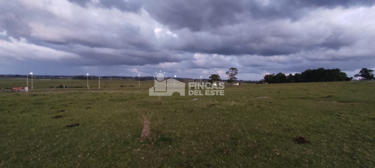 Chacra de 5 Hectáreas sobre Ruta 39 - GoPunta - Portal Inmobiliario de Punta del Este - Maldonado