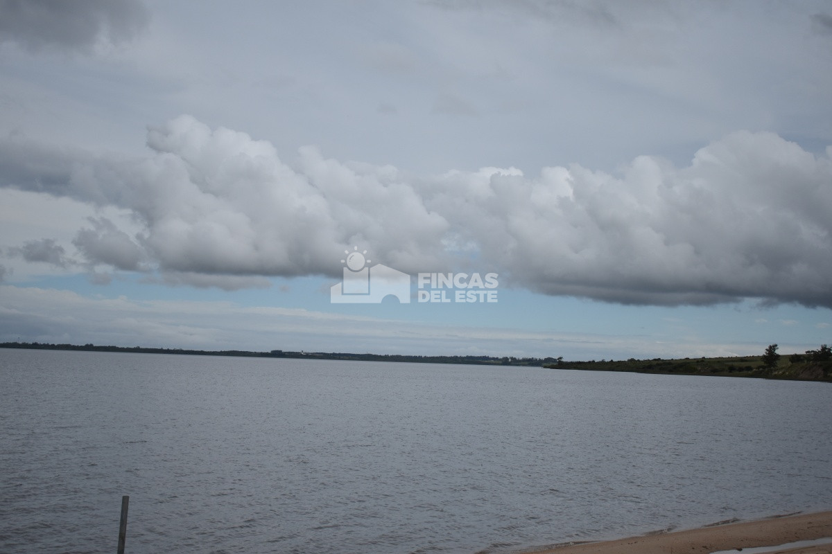 Maldonado - GoPunta - Portal Inmobiliario de Punta del Este - Maldonado
