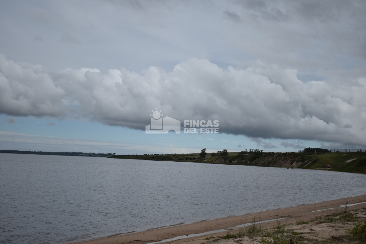 Maldonado - GoPunta - Portal Inmobiliario de Punta del Este - Maldonado